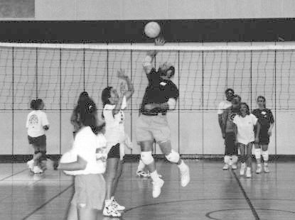 Photo ph12 image (jpeg)