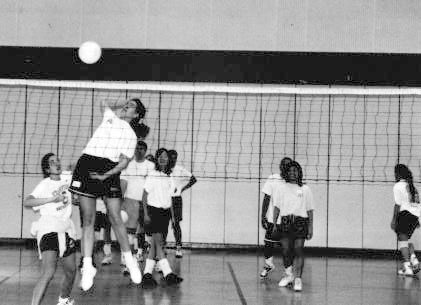 Photo ph7 image (jpeg)